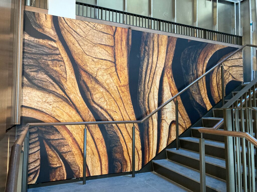 Wood grain viynal installation in san francisco ca.