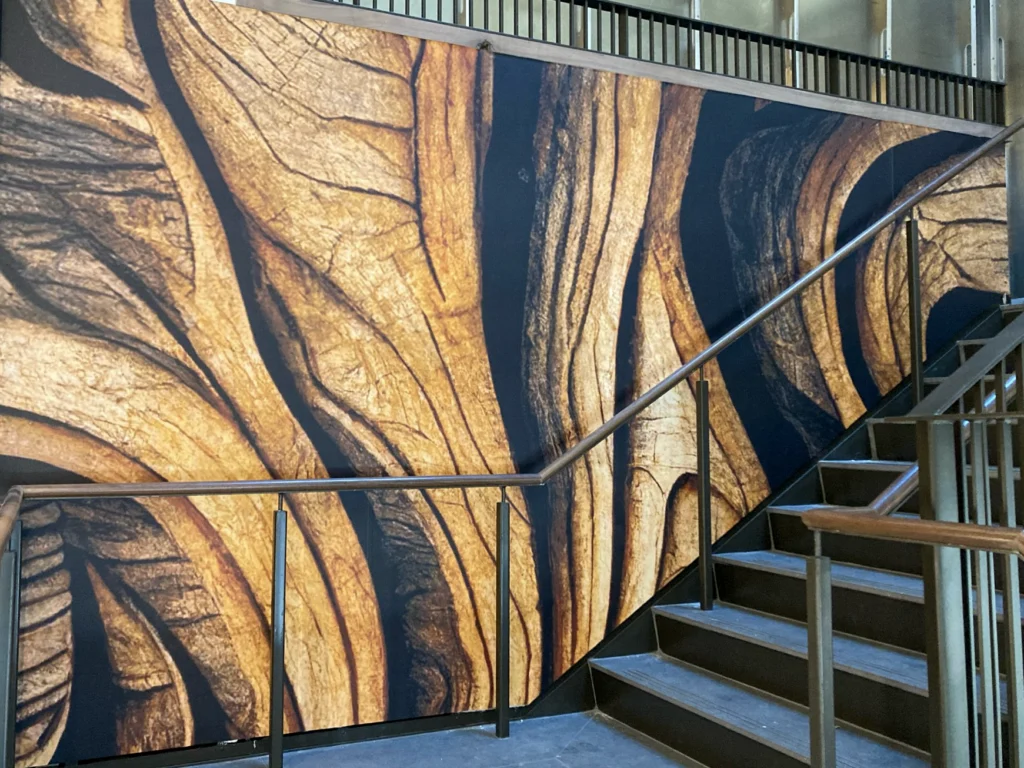 Viynal wall installation.